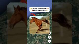 😱I Found Giant Stupid Is Horse In Real Life!?🤯On GoogleEarth and Googlemaps🌍@Universal-s2z#shorts