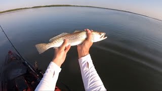 Camping and Fishing at Fort Desoto Park!