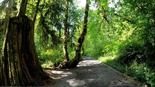 Freedom journey begins into the heart of wilderness and beach