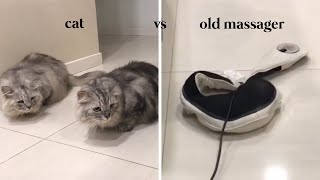 my cats react to an old shoulder massager / lychee & martini diaries ep #3