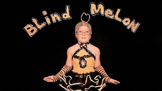 No Rain solo cover / Blind Melon