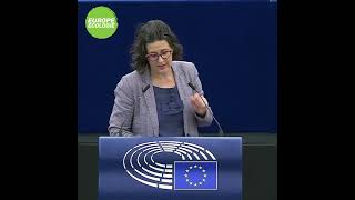 Gwendoline Delbos-Corfield sur la situation en Hongrie et gel des fonds de l’Union européenne