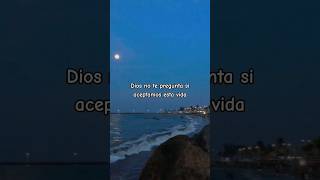 la MEJOR frase del MUNDO! ❤ la biblia #dios#motivacional #veracruz#fyp#viral#tiktok #parati el exito