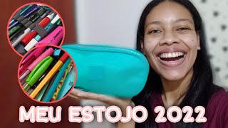 ORGANIZANDO MEU ESTOJO 2022 | Amanda Karolayne