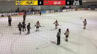 U13A Flamborough Sabres VS Guelph Gryphons