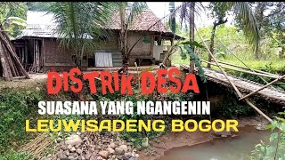 Suasana Pedesaan Di Bogor Barat- kalong tonggoh desa kalong dua Leuwisadeng Bogor Barat