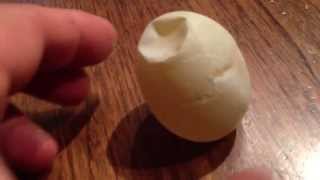 Soft Shelled Organic Backyard Egg - Indents Easily - Finger Poking!!!