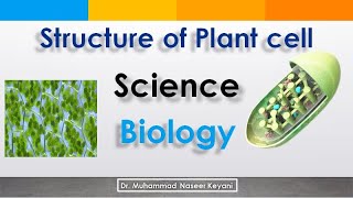 Let us know the structure of plant cell. Science is easy & interesting. پودے کے سیل کی ساخت سمجھیں