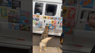 Howl for ice cream😂 - Road to 100k SUBSCRIBE‼️ *repost*