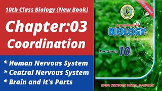 Human nervous system class 10 | Biology class 10 chapter 3 | Class 10 new biology book