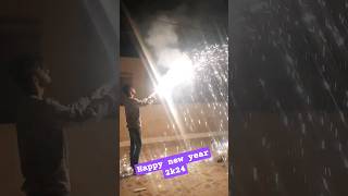 New Year firework Celebration🥰#happynewyear #fireworks #shorts #youtubeshorts #2k24 #newyear2024