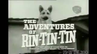 As Aventuras de Rin Tin Tin