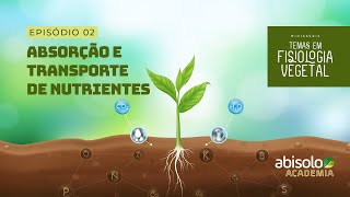 EP 02 - ABSORÇÃO E TRANSPORTE DE NUTRIENTES / Minissérie: Temas em Fisiologia Vegetal