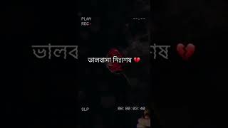 হতেও পারে এই দেখা শেষ দেখা - James|| Lyrical|| Nogorbaul|| নীরবে, অভিমানে, নিভৃতে॥ cover Sajal ||