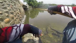 Mancing Ikan Baronang