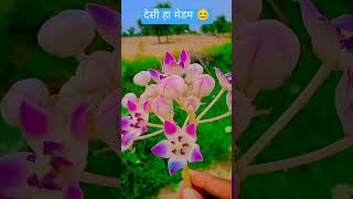 देसी बालक 👦 #kisan #shortvideo #villagelife #shortvideo #shorts  #naturelovers #shortfeed #viral