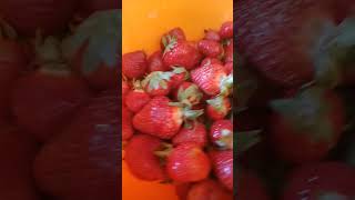 #food Strawberries #love #song #foryou #trend #fy #fyp