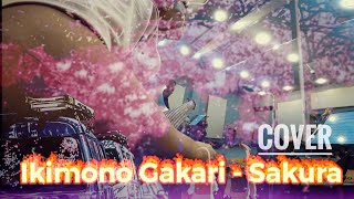 Sakura - ikimono Gakari (Cover - cam Guitar Hoà ất)