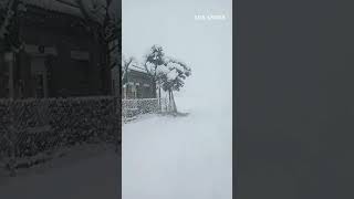 Fuertes nevadas con presencia de viento blanco en Alta Montaña