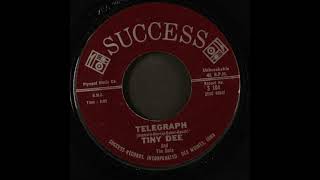 Tiny Dee And The Dots  - Telegraph