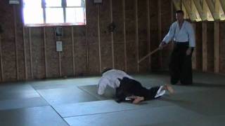 Aikido Demonstration