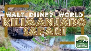 Kilimanjaro Safaris [Disney Animal Kingdom}