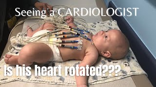 Visiting a Cardiologist (we did NOT expect this news)