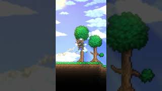 4 Vanity Item terkeren di game terraria #terraria #shortvideo