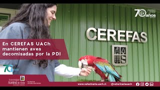 CEREFAS recibe aves decomisadas por la PDI