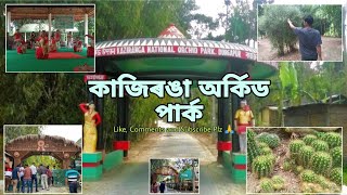 🥀Kaziranga Orcid Park And Museu (কাজিৰঙা অৰ্কিড পাৰ্ক ) 🥀