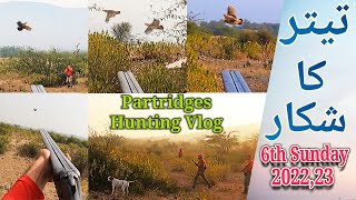 Ye Shikar Zabrdast Raha |Video20 | 6th Sunday 2022"23 | Teetar Shikar| Khushab | Partridges Hunting