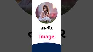 Image meaning in Gujarati - English dictionary