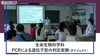 創域理工学部オープンキャンパス 生命生物科学科「PCRによる遺伝子型の判定実験」（ダイジェスト）