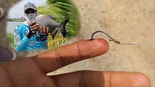 | Catching a big monster Rupchand (pamplet fish ) with feeder ,pop up 🎣🎣 |