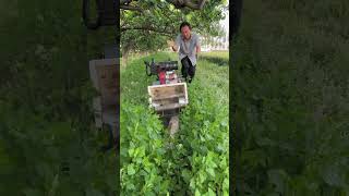 Pqrt 675 Four-wheel-drive micro-cultivation machine The lawnmower has high horsepower and strong.😱