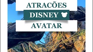 Melhor atração da Disney: Avatar Flight of Passage