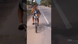 Passeio de bike