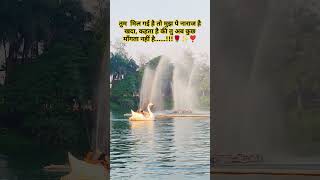 Apna Bana Le - Bhediya🌹✨❣️ || WhatsApp Status  || Status_Lover_2.0#shorts #viralvideo #love #nature