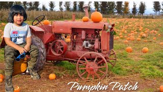 Pumpkin Patch + Apple Picking