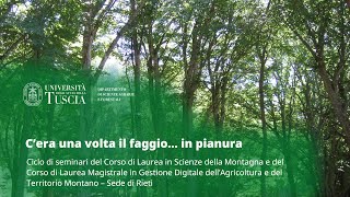 🖥️ WEBINAR | C'ERA UNA VOLTA IL FAGGIO... IN PIANURA