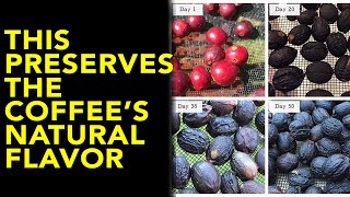 In The Know! Natural Coffee processing