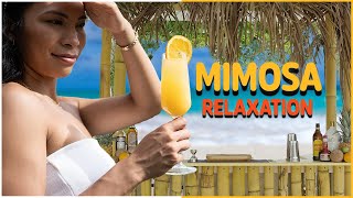 ASMR Meets Mimosas | Beachside Cocktails at Our Tiki Bar 🍹🎧🌴