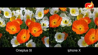 Oneplus 5T vs Iphone X Camera Test