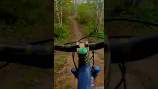 Drop trail in Duluth | MTB Short