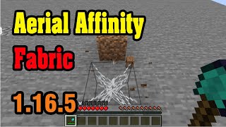 Aerial Affinity Fabric Mod 1.16.5 & Tutorial Downloading And Installing For Minecraft