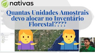 Quantidade ideal de Parcelas no Inventário Florestal