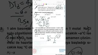 11.sınıf güncel meb kazanım kavrama testi 19 2024 DETAYLI ANLATIM