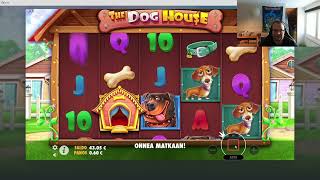 80€ vastaan The dog house