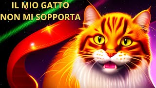 Cosa fa arrabbiare i gatti? Scopri le 10 cose che proprio non sopportano