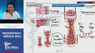 Bases de traumatología- PARTE 1